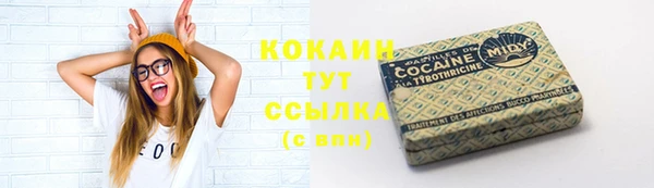 спиды Корсаков
