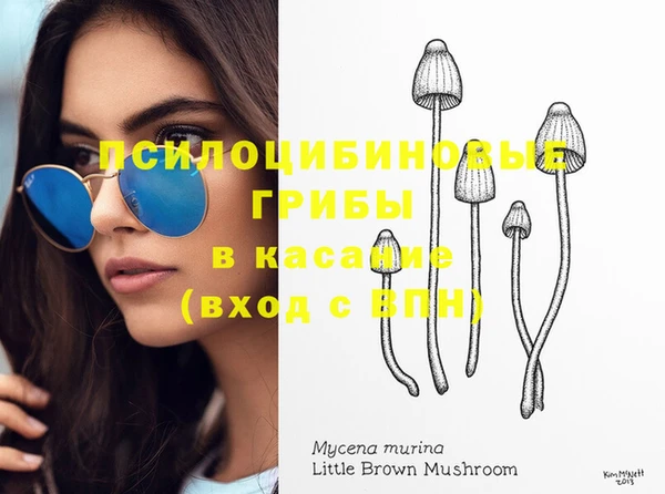 mix Кодинск