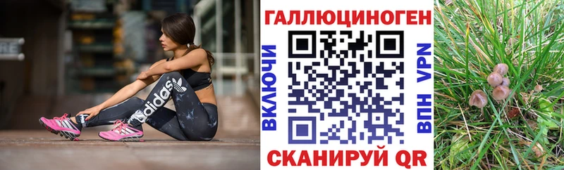 как найти закладки  Кириллов  Галлюциногенные грибы Psilocybine cubensis 